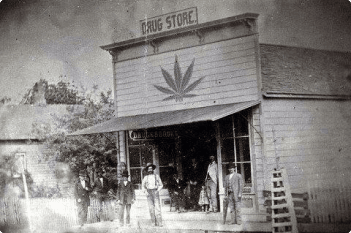 Florida cannabis history