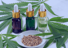 Florida Active Medical Marijuana Patients in 2026.png